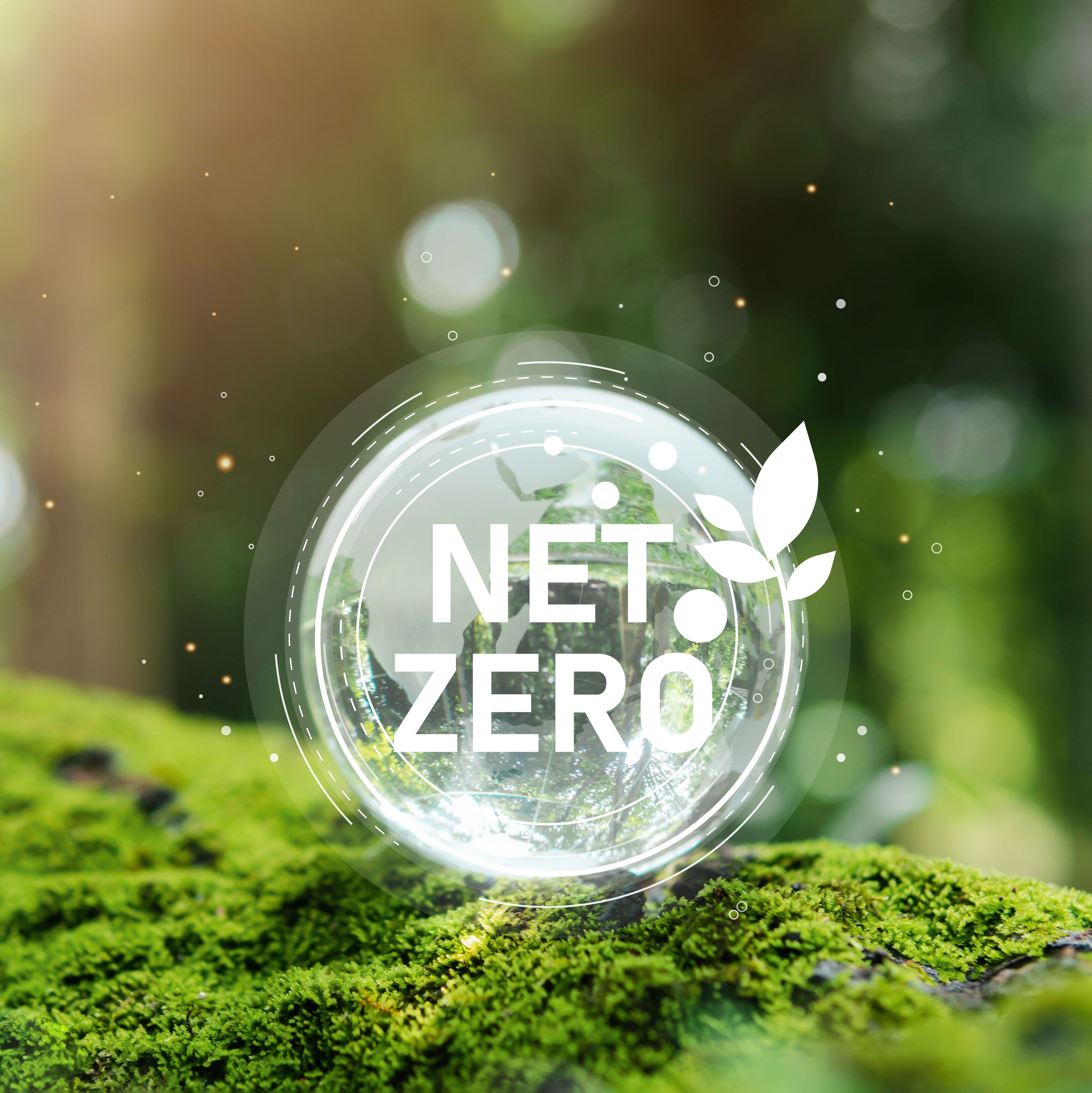Energy Moves: Covestro, Perstorp Achieve Net-Zero Sustainability Goals