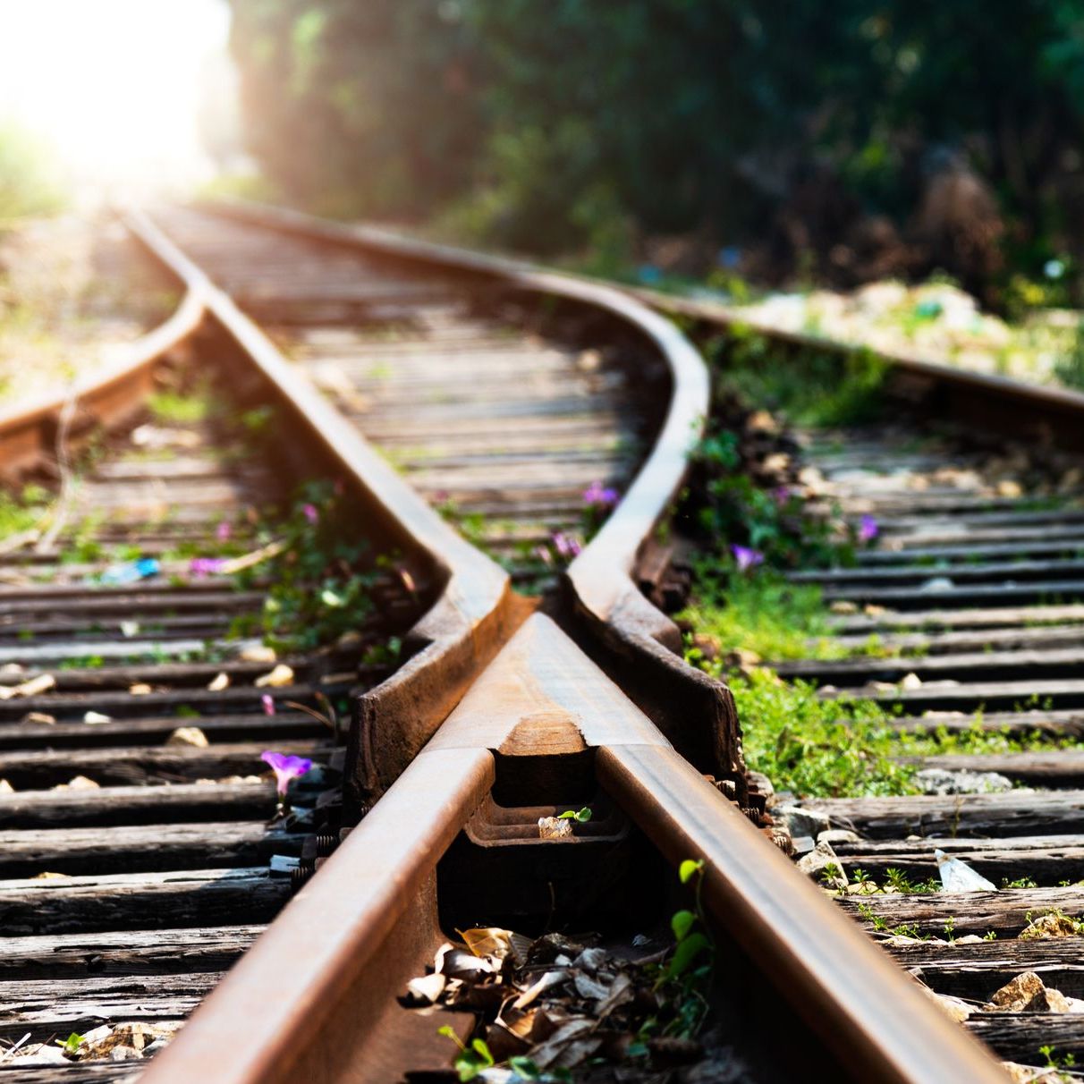 Shippers Line Up Against Railroad Mergers